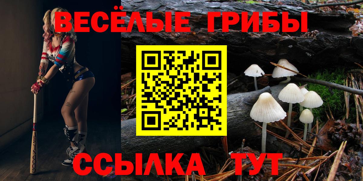 Псилоцибиновые грибы мухоморы Шадринск